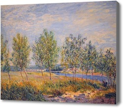 Картина Тополя на берегу реки