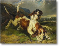 Картина Собаки и пейзаж