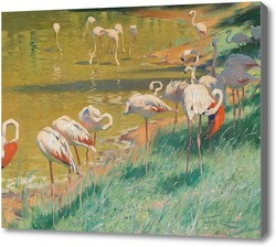 Картина Фламинго