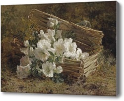 Картина Белые азалии и мимозы в плетеной корзине