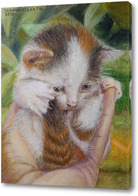 Картина Котёнок на ладони.