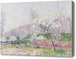 Картина Яблоки в цвету