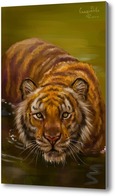 Картина Тигр в воде