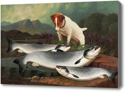 Картина Терьер и три лосося