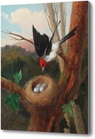 Картина Птица у гнезда