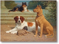 Картина Группа собак на лестнице