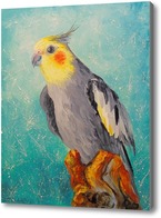 Картина Попугай корелла