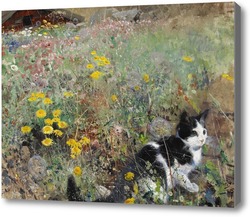 Картина Кошка на цветочном лугу