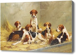 Картина Собаки в питомнике