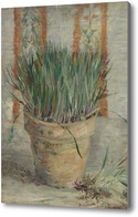 Картина Горшок с чесноком и зеленым луком