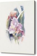 Картина Фиолетовый Ирис