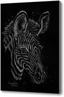 Картина Жеребенок зебры