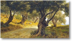Картина Оливковая роща.Палермо