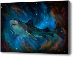 Картина Акула и звезды
