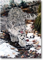 Картина Снежный леопард