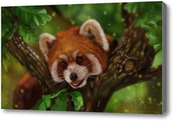 Картина Красная панда