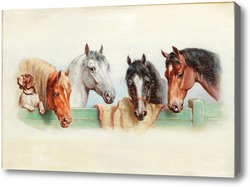 Картина Собака и четыре лошади
