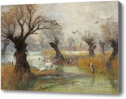 Картина Пеликаны на берегу реки