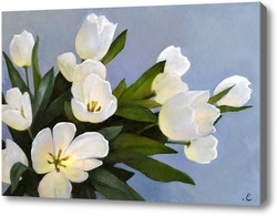 Картина Белые тюльпаны