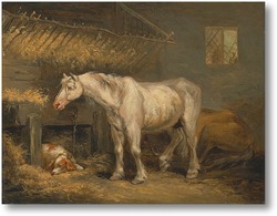 Картина Старая лошадь с собакой в стойле