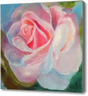 Картина Розовая роза