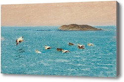 Картина Гаги в архипелаге