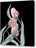 Картина Прозрачные тюльпаны