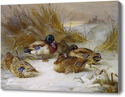 Картина Зимний пейзаж с утками