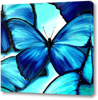 Картина Бирюзовые бабочки