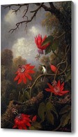Купить картину Экзотические цветы и колибри