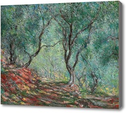 Картина Оливковая роща в саду Морено