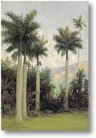 Картина Недалеко от Гонолулу