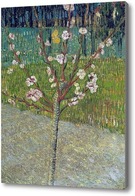 Картина Миндальное дерево в цвету