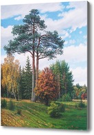 Картина Осенний пейзаж с сосной