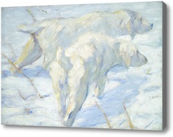 Картина Сибирские Собаки в снегу