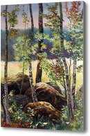 Картина  Камни в лесу