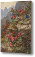 Картина Альпийские цветы
