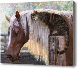 Картина Кот и конь