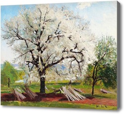 Картина Цветение плодовых деревьев