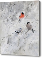 Картина Птицы на зимней ветке