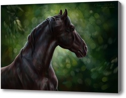 Картина Вороной конь