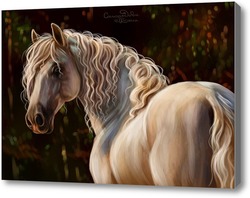 Картина Лошадь породы андалуз