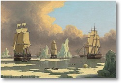 Картина Охота на китов на севере: «Лебедь» и «Изабелла»
