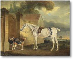 Картина Лошадь и гончие