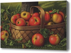 Купить картину Яблоки в корзине 