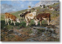 Картина Молодняккрупного рогатого скота в Триоле