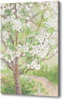 Картина Цветущая яблоня