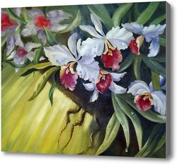 Картина орхидеи