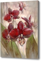 Картина орхидеи без затей
