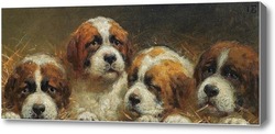 Картина Четыре щенка сембирнара